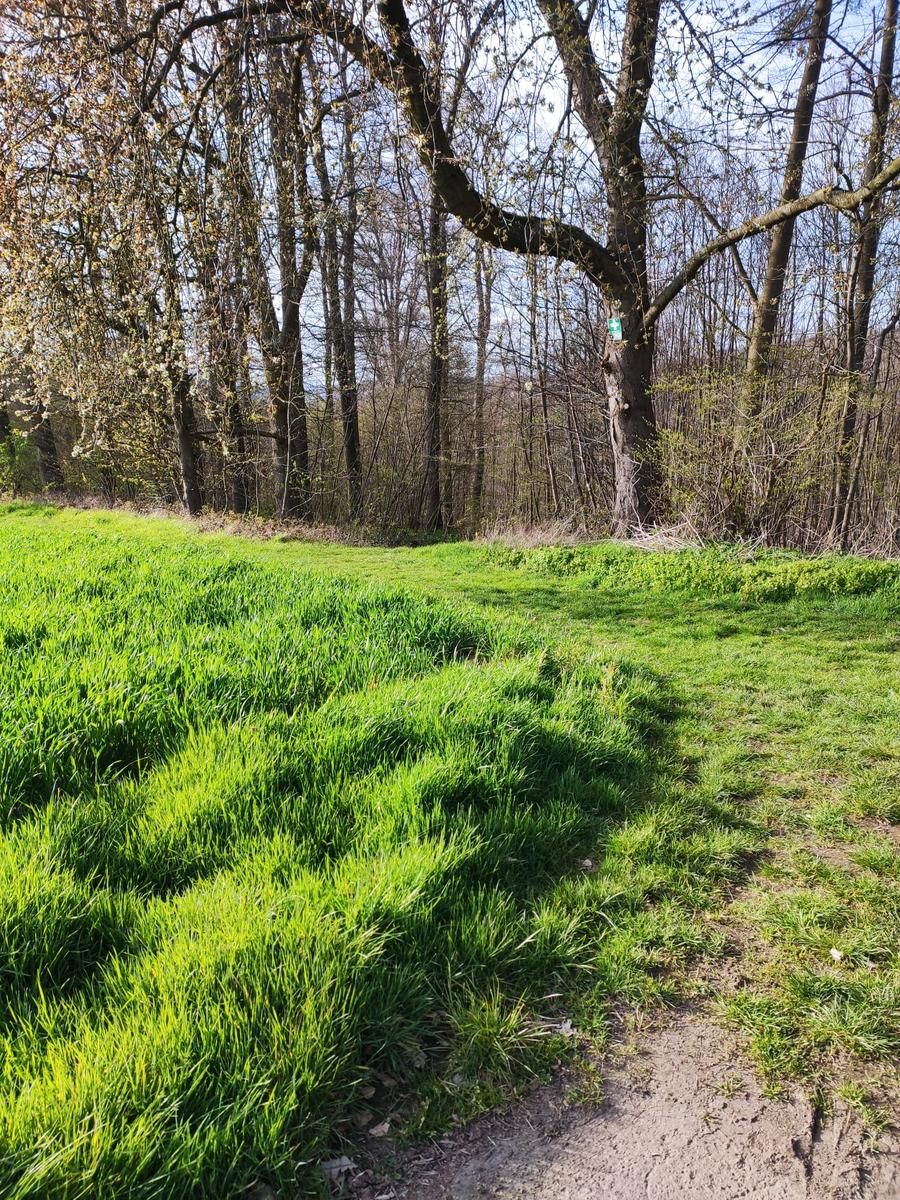 WhatsApp_Image_2026-04-09_at_17_49_30__8_